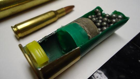 Bullet and Casing
